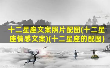 十二星座文案照片配图(十二星座情感文案)(十二星座的配图)