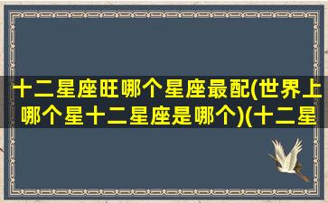 十二星座旺哪个星座最配(世界上哪个星十二星座是哪个)(十二星座哪个星座最旺夫)