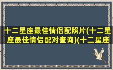十二星座最佳情侣配照片(十二星座最佳情侣配对查询)(十二星座情侣配对排名)