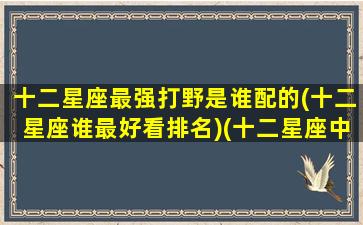 十二星座最强打野是谁配的(十二星座谁最好看排名)(十二星座中谁打的最厉害)