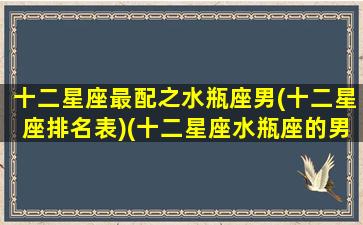 十二星座最配之水瓶座男(十二星座排名表)(十二星座水瓶座的男生)