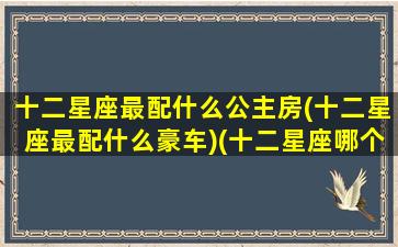 十二星座最配什么公主房(十二星座最配什么豪车)(十二星座哪个星座最配当公主)