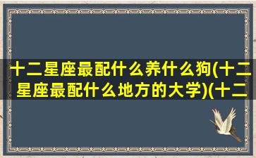 十二星座最配什么养什么狗(十二星座最配什么地方的大学)(十二星座配谁最好)