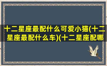 十二星座最配什么可爱小猫(十二星座最配什么车)(十二星座配哪个小宠物图片)