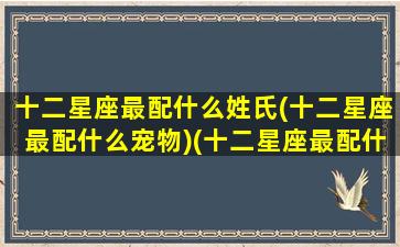 十二星座最配什么姓氏(十二星座最配什么宠物)(十二星座最配什么明星)