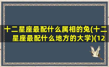 十二星座最配什么属相的兔(十二星座最配什么地方的大学)(12星座最配什么星座配对)