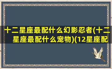 十二星座最配什么幻影忍者(十二星座最配什么宠物)(12星座配什么动物)