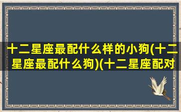 十二星座最配什么样的小狗(十二星座最配什么狗)(十二星座配对狗狗)