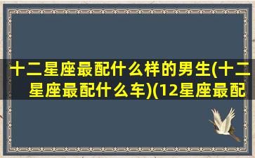 十二星座最配什么样的男生(十二星座最配什么车)(12星座最配)