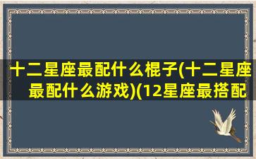 十二星座最配什么棍子(十二星座最配什么游戏)(12星座最搭配什么星座)