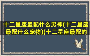 十二星座最配什么男神(十二星座最配什么宠物)(十二星座最配的男明星)