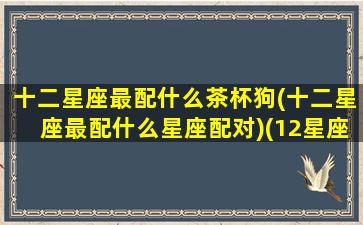 十二星座最配什么茶杯狗(十二星座最配什么星座配对)(12星座杯子)