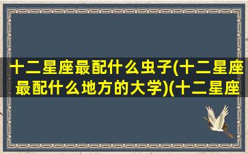 十二星座最配什么虫子(十二星座最配什么地方的大学)(十二星座最配的动物)