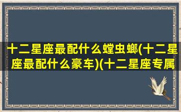 十二星座最配什么螳虫螂(十二星座最配什么豪车)(十二星座专属昆虫)