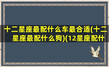 十二星座最配什么车最合适(十二星座最配什么狗)(12星座配什么星座最好)