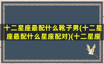 十二星座最配什么靴子男(十二星座最配什么星座配对)(十二星座配对什么衣服最好看)