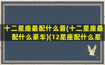 十二星座最配什么音(十二星座最配什么豪车)(12星座配什么星座最好)