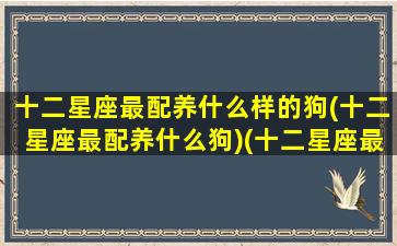 十二星座最配养什么样的狗(十二星座最配养什么狗)(十二星座最适合养的狗狗)