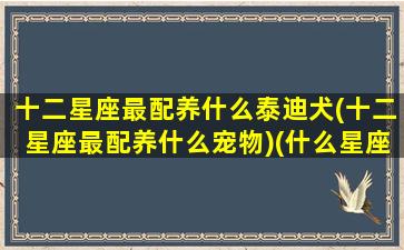 十二星座最配养什么泰迪犬(十二星座最配养什么宠物)(什么星座适合养泰迪)