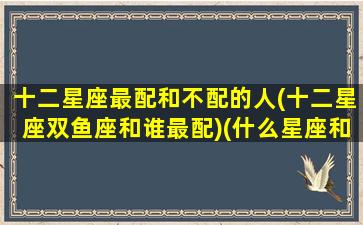 十二星座最配和不配的人(十二星座双鱼座和谁最配)(什么星座和双鱼座最不配)