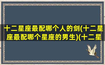 十二星座最配哪个人的剑(十二星座最配哪个星座的男生)(十二星座配对武器)