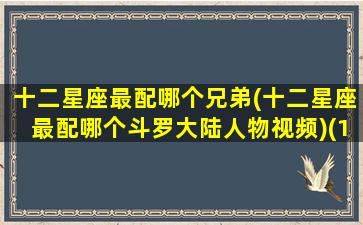十二星座最配哪个兄弟(十二星座最配哪个斗罗大陆人物视频)(12星座谁配谁最合适)