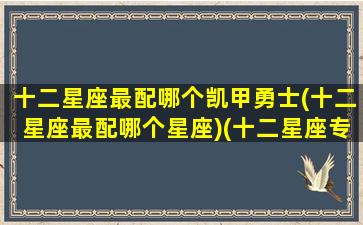 十二星座最配哪个凯甲勇士(十二星座最配哪个星座)(十二星座专属凯甲)