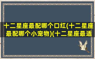 十二星座最配哪个口红(十二星座最配哪个小宠物)(十二星座最适合的口红色号)