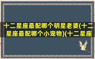 十二星座最配哪个明星老婆(十二星座最配哪个小宠物)(十二星座配对的女明星)