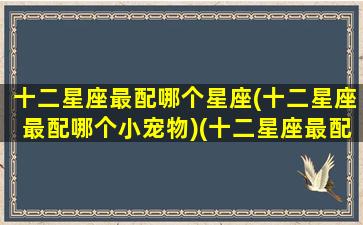 十二星座最配哪个星座(十二星座最配哪个小宠物)(十二星座最配的星座是)