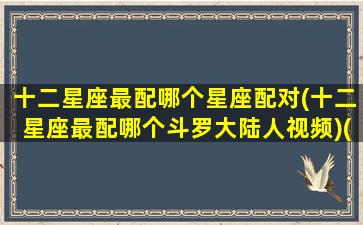 十二星座最配哪个星座配对(十二星座最配哪个斗罗大陆人视频)(十二星座谁配谁)