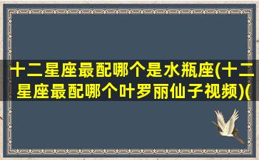 十二星座最配哪个是水瓶座(十二星座最配哪个叶罗丽仙子视频)(十二星座水瓶和谁最配)