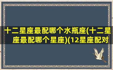 十二星座最配哪个水瓶座(十二星座最配哪个星座)(12星座配对排名水瓶)