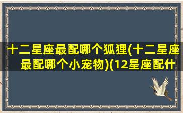 十二星座最配哪个狐狸(十二星座最配哪个小宠物)(12星座配什么动物)