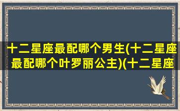 十二星座最配哪个男生(十二星座最配哪个叶罗丽公主)(十二星座最配哪个星座的男生)