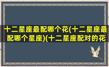 十二星座最配哪个花(十二星座最配哪个星座)(十二星座配对的花)
