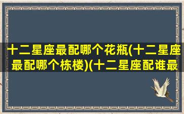 十二星座最配哪个花瓶(十二星座最配哪个栋楼)(十二星座配谁最好)