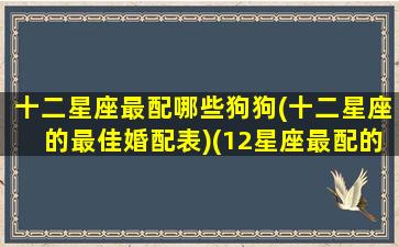 十二星座最配哪些狗狗(十二星座的最佳婚配表)(12星座最配的一对)
