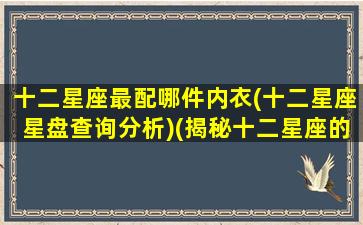 十二星座最配哪件内衣(十二星座星盘查询分析)(揭秘十二星座的专属内衣)