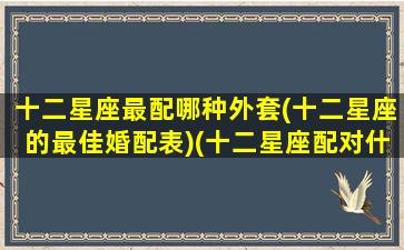 十二星座最配哪种外套(十二星座的最佳婚配表)(十二星座配对什么衣服最好看)