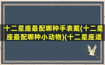 十二星座最配哪种手表戴(十二星座最配哪种小动物)(十二星座适合佩戴什么)