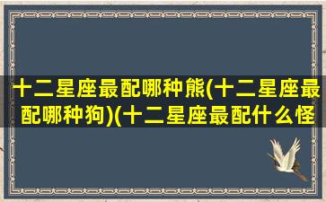 十二星座最配哪种熊(十二星座最配哪种狗)(十二星座最配什么怪兽)