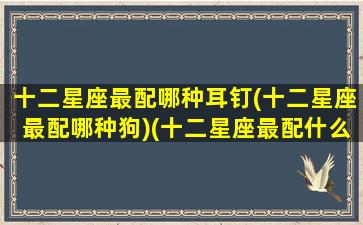 十二星座最配哪种耳钉(十二星座最配哪种狗)(十二星座最配什么狗)