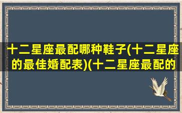十二星座最配哪种鞋子(十二星座的最佳婚配表)(十二星座最配的动物)