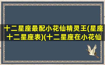 十二星座最配小花仙精灵王(星座十二星座表)(十二星座在小花仙里面是什么花仙精灵王)