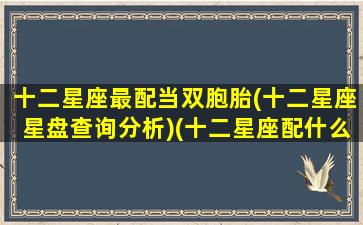 十二星座最配当双胞胎(十二星座星盘查询分析)(十二星座配什么星座最好)