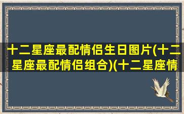 十二星座最配情侣生日图片(十二星座最配情侣组合)(十二星座情侣搭配)