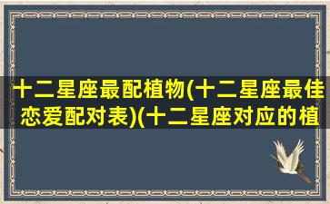 十二星座最配植物(十二星座最佳恋爱配对表)(十二星座对应的植物)