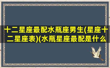 十二星座最配水瓶座男生(星座十二星座表)(水瓶星座最配是什么星座配对)