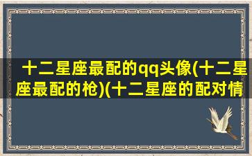 十二星座最配的qq头像(十二星座最配的枪)(十二星座的配对情侣头像图片)